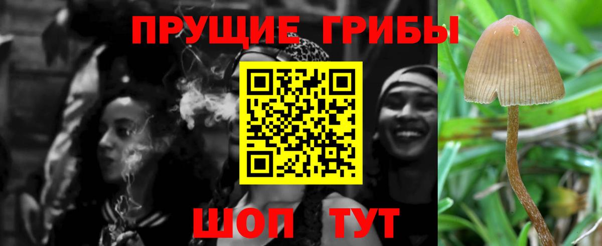 Псилоцибиновые грибы Cubensis  Вход с VPN  Гагарин 